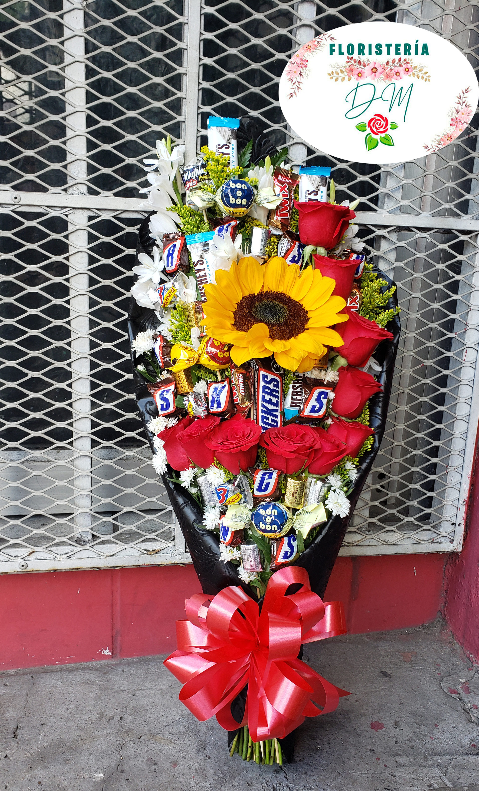 Ramo 08